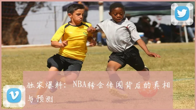 独家爆料:NBA转会传闻背后的真相与预测